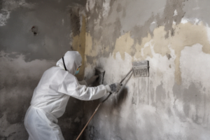 Basement Waterproofing Company